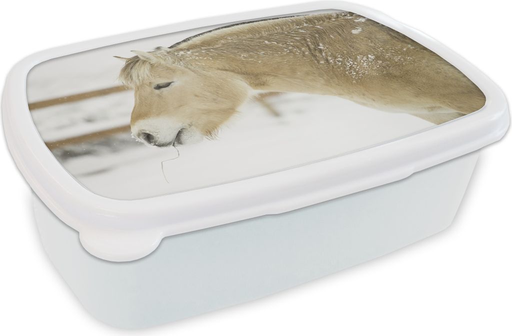 KitchenYeah Lunchbox Brotzeit Brotdose 17x11 cm Nahaufnahme eines Fjordpferdes im Schnee Kinder Brotzeitdose - Lunch Box - Kinder - Sandwich-Box ...