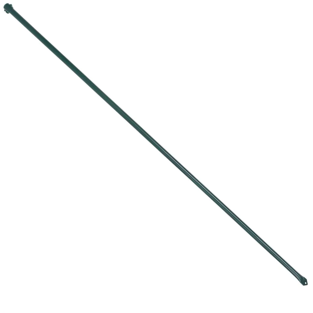 vidaXL Bastoni per piante 10 pezzi 1,5 m metallo verde
