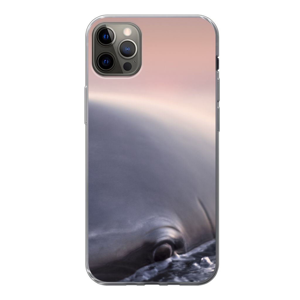 MuchoWow Handyhülle Schutzhülle Hülle für iPhone 12 Pro Max Delfin - Wasser - Nahaufnahme Silikon Softcase Handy Hülle - Hartschale