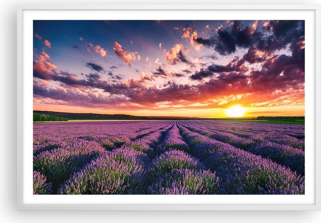 Gerahmtes Poster - Weißer Rahmen - Lavendel Berge Feld - 91,5x61 cm - Wand Bild - Wanddeko - Wandbilder - Kunstposter - Wandposter - Bilderrahmen ...