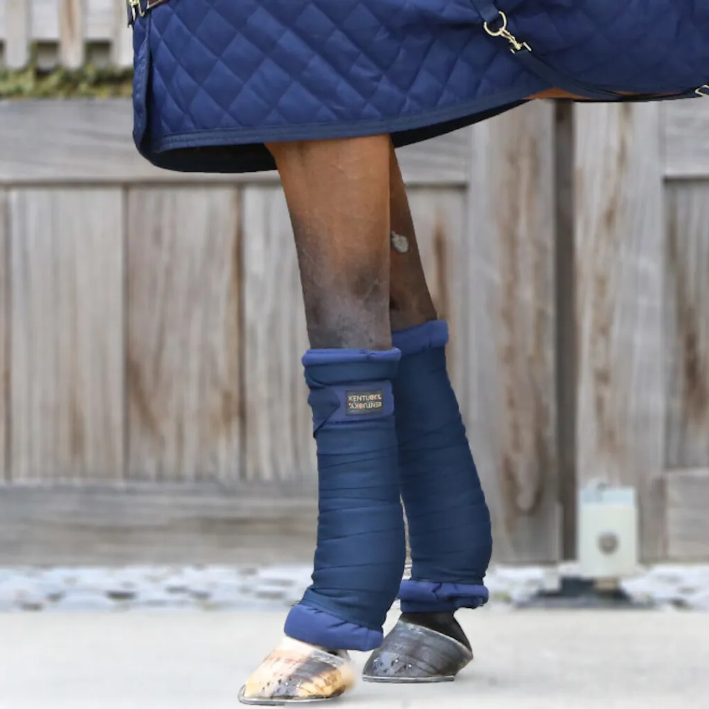 Sous-bandages de repos matelassés Kentucky pour protections de transport