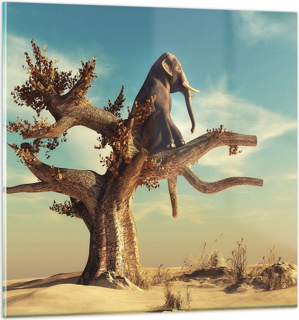 Bilder auf glas - Einteilig - Sitzen Elefant Baum - 40x40cm - Glasbilder - Wandbilder - Bilder - zum Aufhängen bereit - Wanddekoration aus Glas - ...