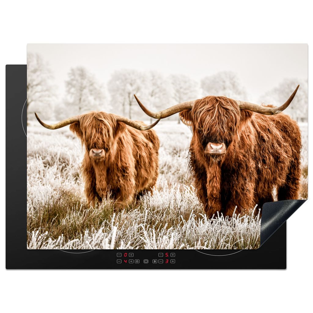 KitchenYeah Herdabdeckplatte Schottischer Hochländer - Kuh - Natur - Winter , 70x52cm, Küche Deko, Glaskeramikkochfeld Herdabdeckung, Abdeckpla...