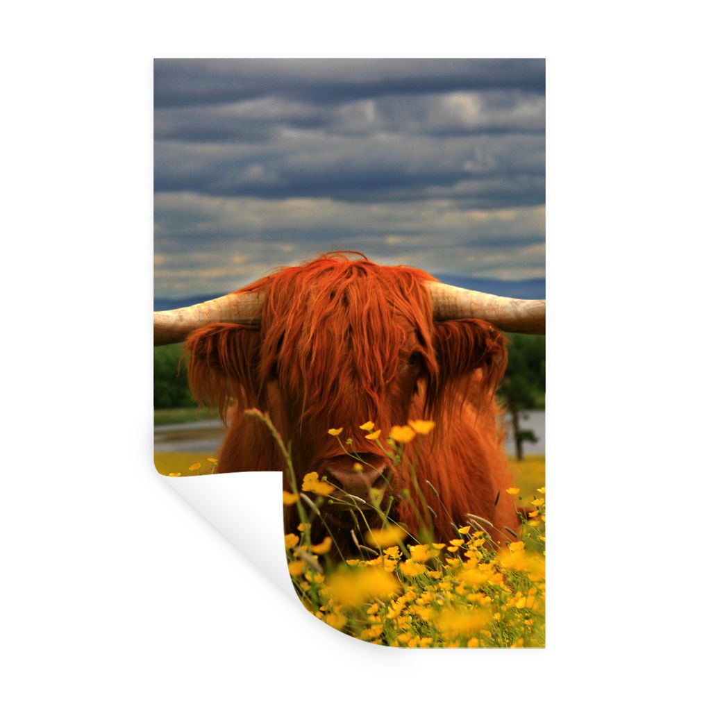 MuchoWow Wandtattoo Wandsticker Wandaufkleber Schottischer Highlander - Tiere - Blumen 80x120 cm Selbstklebend und Repositionierbar - Repositioni...