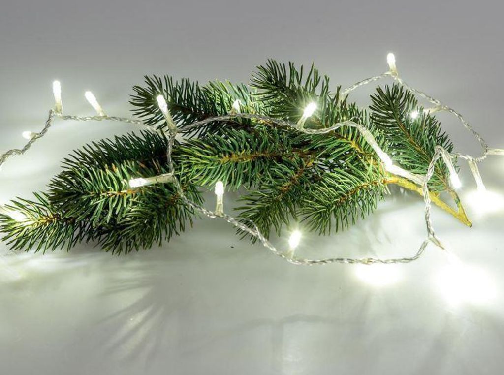 A fir branch with white LED lights wrapped around it, set against a white background.