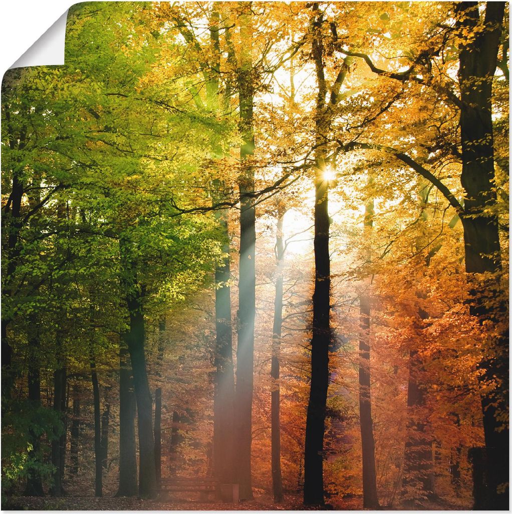 ARTland Poster Schöner Herbsttag 2 Größe: 70x70 cm