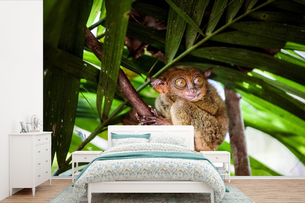 MuchoWow Fototapete für Wohnzimmer oder Schlafzimmer Wandtapete Vinyl Motivtapete Philippinischer Geist zwischen den grünen Blättern - 360x240...