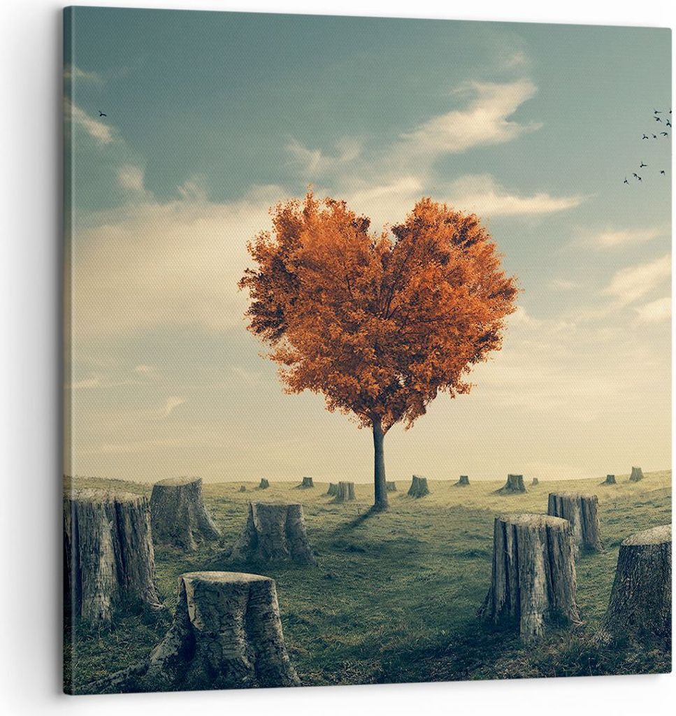 Bild auf Leinwand - Leinwandbild - Baum Natur Wiese - 60x60cm - Wand Bild - Wanddeko - Wandbilder - Leinwanddruck - Bilder - Kunstdruck - Wanddekor...