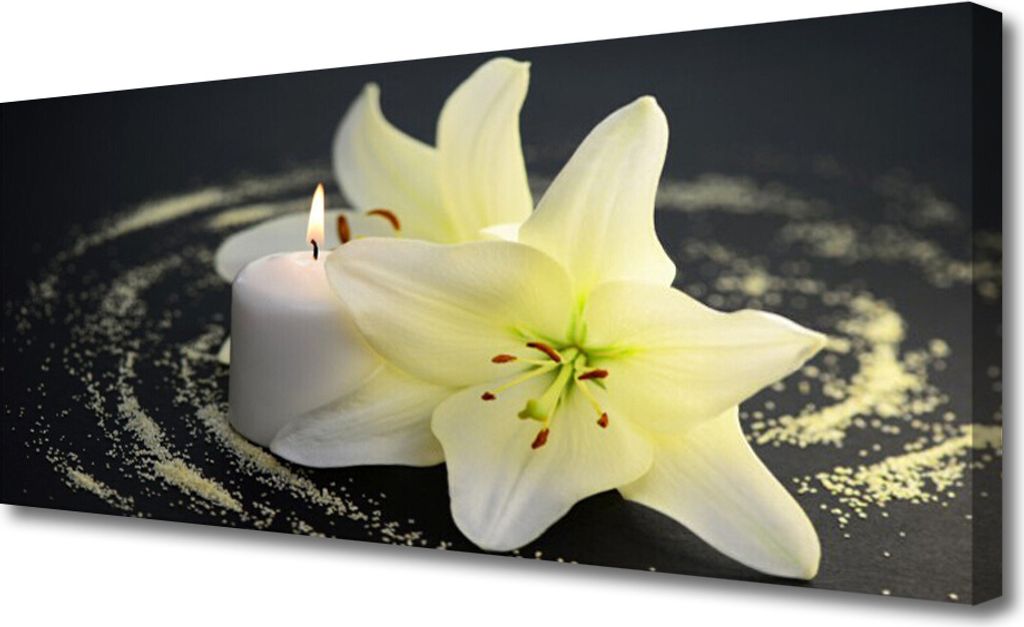 Tulup Leinwand-Bilder 125x50 Wandbild Canvas Kunstdruck Blume Pflanzen