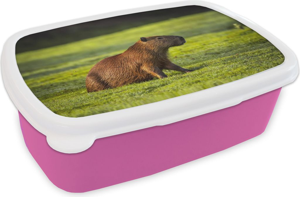 KitchenYeah Lunchbox Brotzeit Brotdose 17x11 cm Goldene Sonnenstrahlen über dem Capybara Kinder Brotzeitdose - Lunchpaket - Brotkasten - Sandwic...