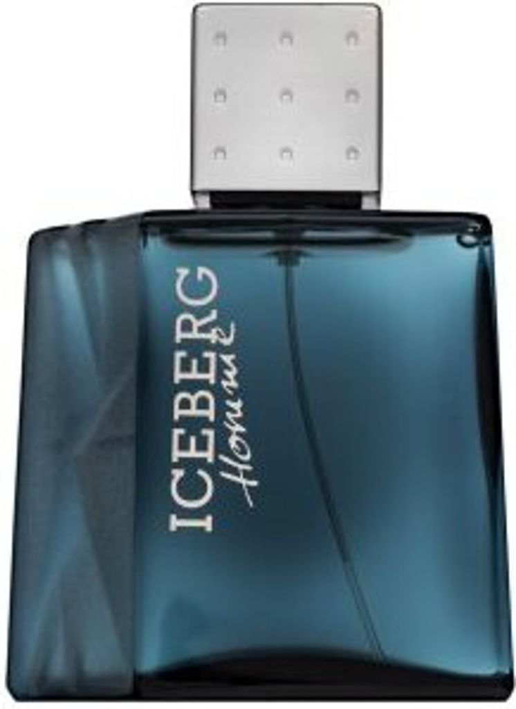 Iceberg Homme Eau de Toilette für Herren 100 ml Produktbild 