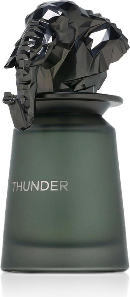 French Avenue Thunder EDP 100 ml M Obrázek produktu 