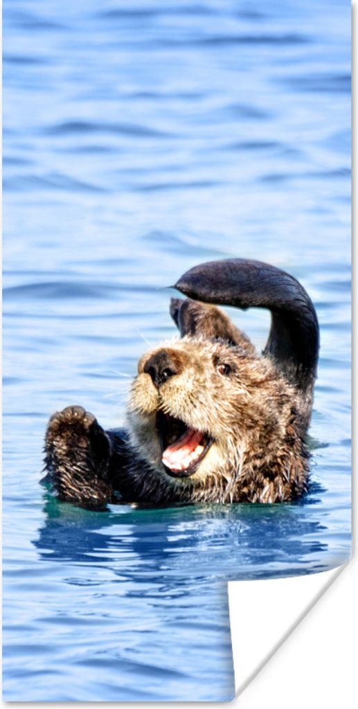 MuchoWow Poster Seeotter - Lustig - Wasser - Kinder - Jungen - Mädchen - Kind 75x150 cm - Dekoration für die Wände