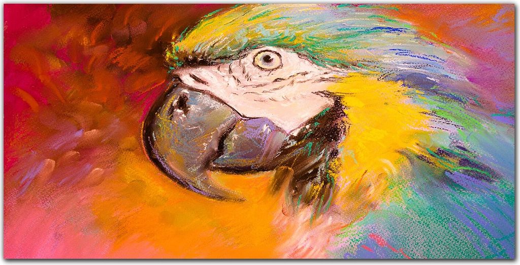 Coloray Bild aus Acryl 120 cm x 60 cm - Wohnzimmer Acrylblock mit Bild Wanddekoration Gehärtetes Acryl Dekoration Küche - Zahmer Papagei