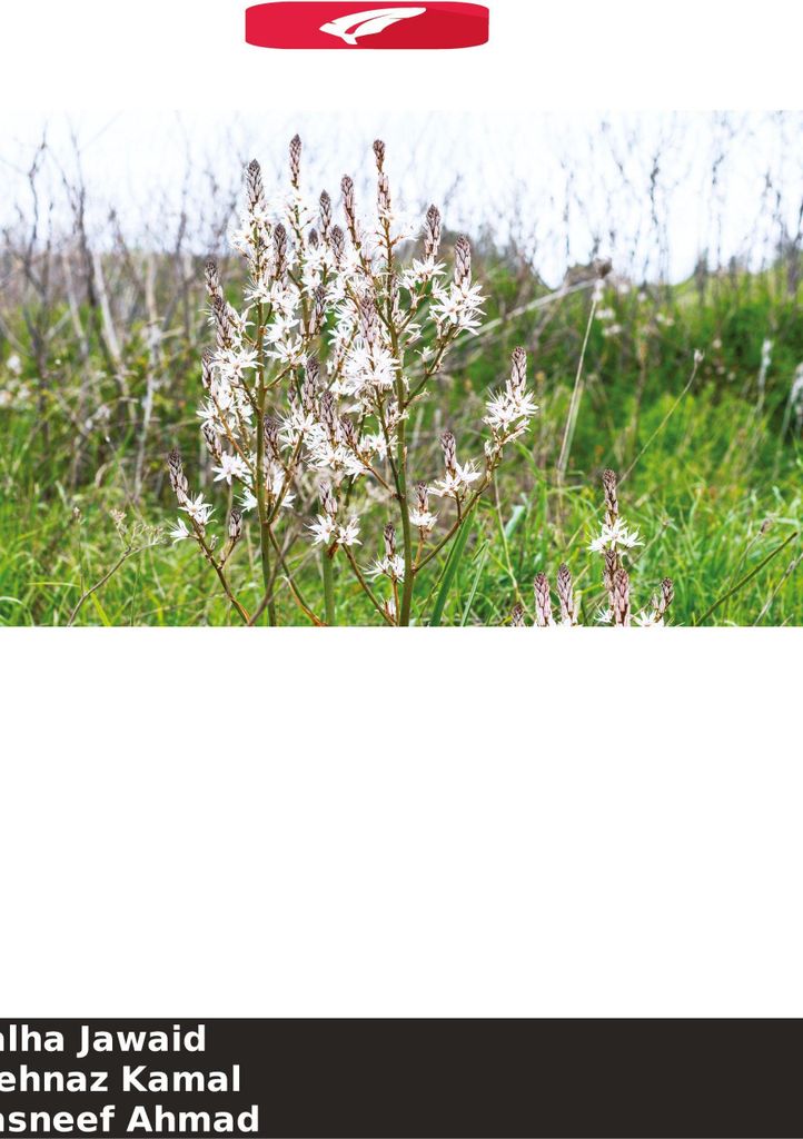 Efeito anti-hiperlipidémico da planta inteira Asphodelus fistulosus linn.