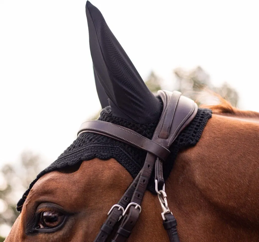Bonnet de Concours Samshield Flyshield Swarovski Oreilles de Cheval - 7