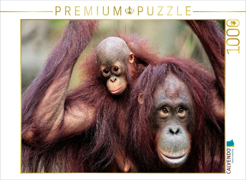 CALVENDO Puzzle Orang-Utan Mutter mit Kind | 1000 Teile Lege-Größe 64x48cm Foto-Puzzle für glückliche Stunden