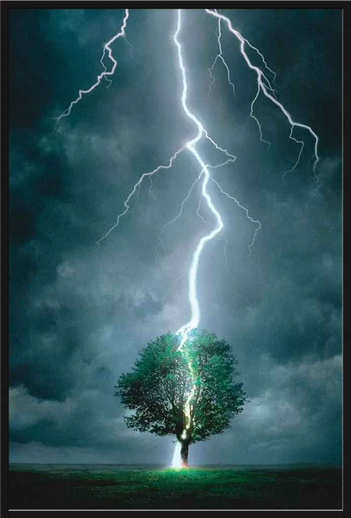 Poster Lightning Striking Tree I Vitre Acrylique et Cadre Shinsuke® Noir