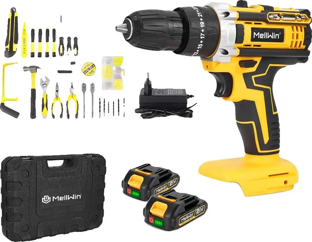Torque Trapano Avvitatore 21V Professionale: 3 Funzioni e 2 Batterie