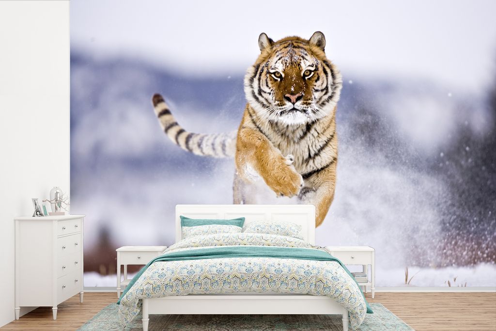 MuchoWow Fototapete für Wohnzimmer oder Schlafzimmer Wandtapete Vinyl Motivtapete Sibirischer Tiger - 525x350 cm - Das Hintergrundbild