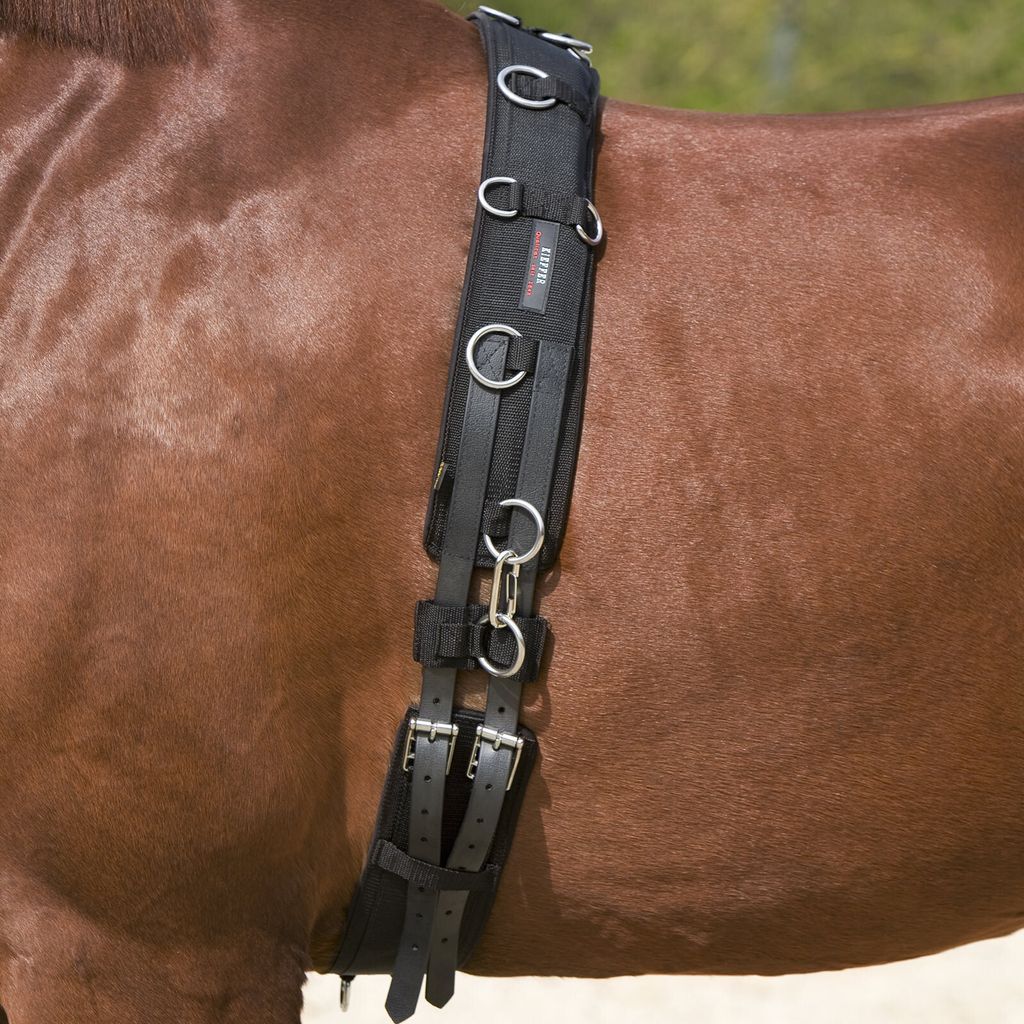 Kieffer Longiergurt - schwarz - Warmblut Produktbild