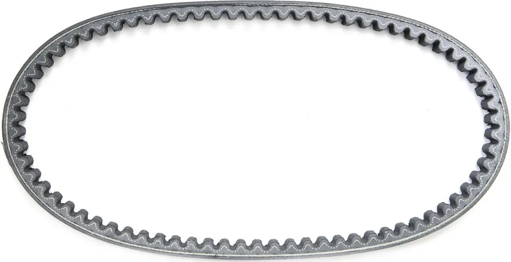Courroie Malossi renforcée 19x745 mm haute résistance pour moteur 50cc