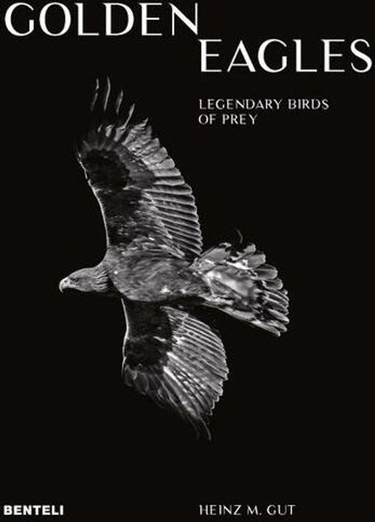 Golden Eagles: Legendary Birds of Prey