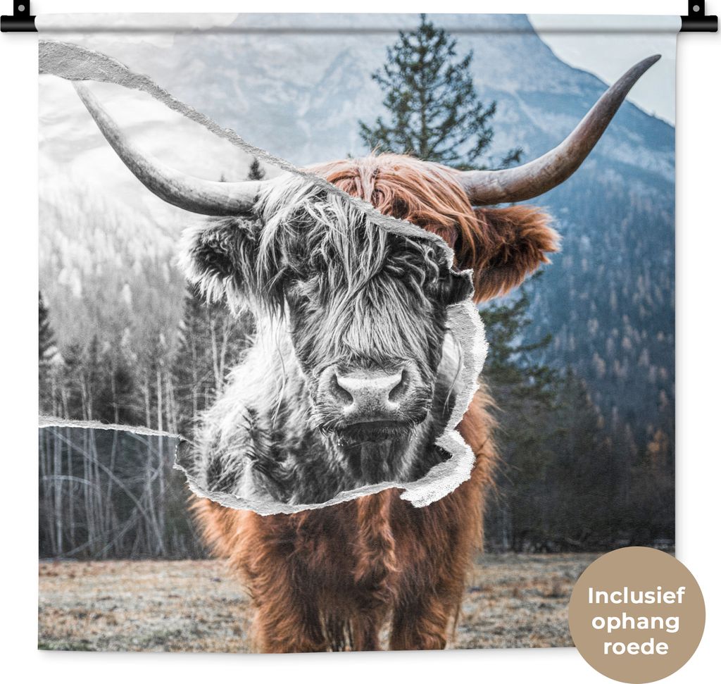 MuchoWow Wandteppich Wandbehang Tiere - Schottisches Hochlandrind - Stier 60x60 cm Tapisserie Dekoration Wandtuch - Dekorationen - Wand Decke