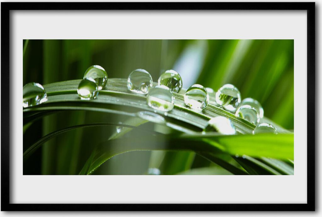 Bild 60x40 MDF-Rahmen Wandkunst Pflanze Gras Dew Drops