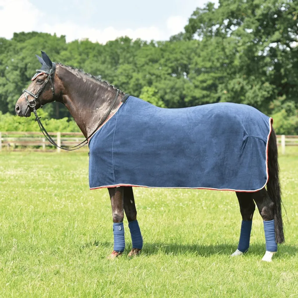 Sottosella Anatomico Busse WAVE Navy | Protezione Schiena Cavallo
