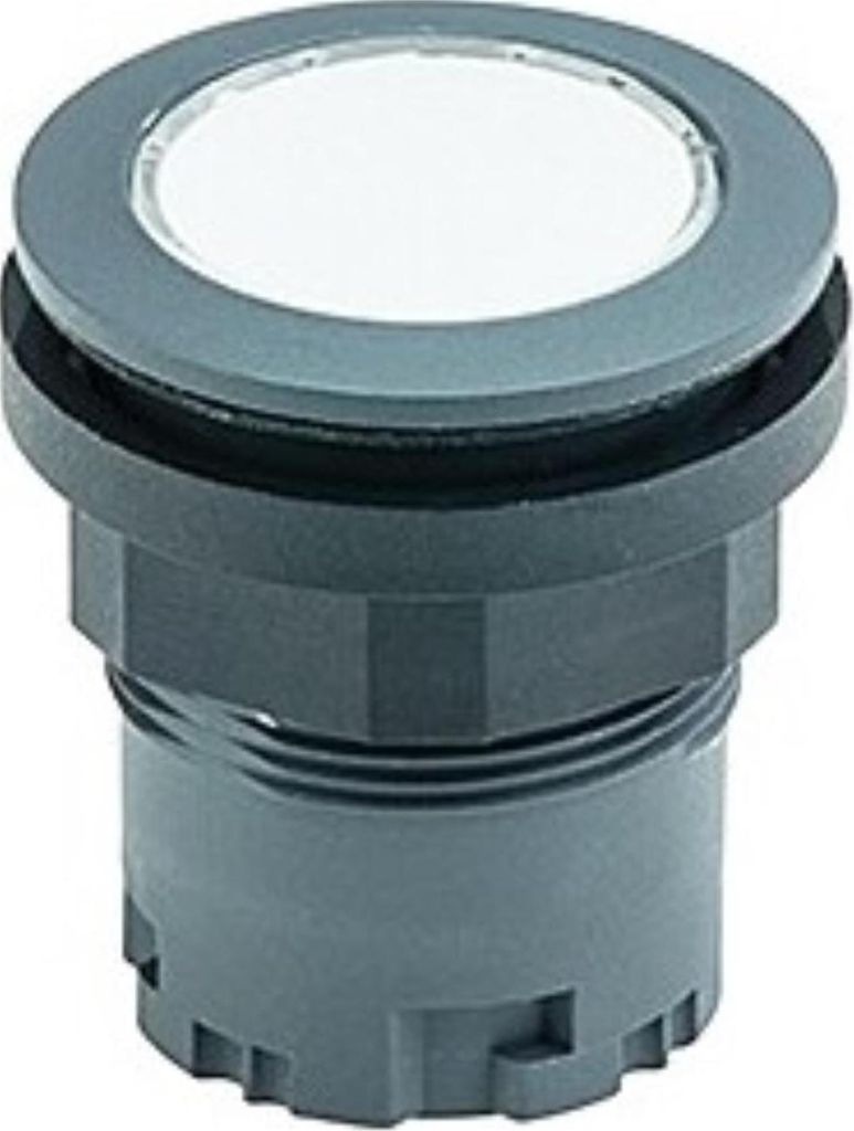 Georg Schlegel Drucktaste beleuchtbar, rund, RONDEX-JUWEL Hub 6,0mm - 1 Stück