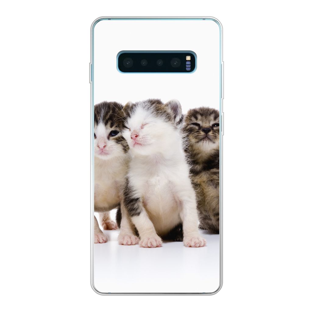 MuchoWow Handyhülle Schutzhülle Hülle für Samsung Galaxy S10 Plus Katze - Haustiere - Fell - Porträt Silikon Softcase Handy Hülle - Schutzh...