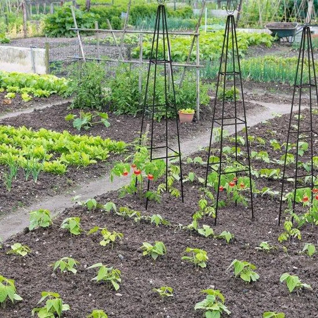 Tuteur métallique noir 204 cm pour rosiers et plantes grimpantes de jardin