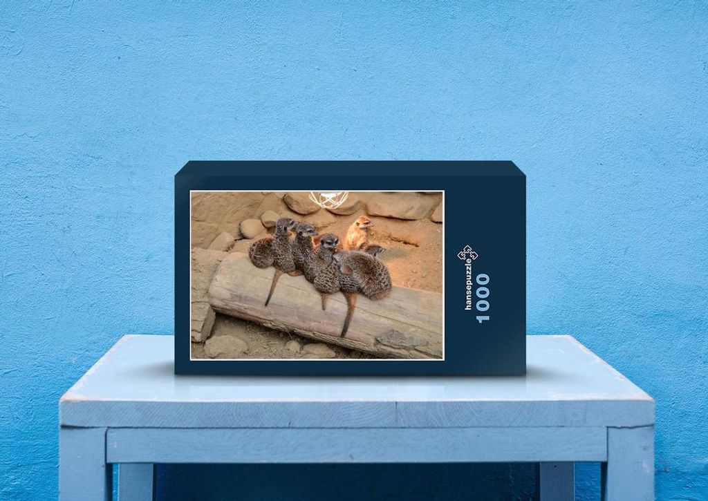 hansepuzzle 83285 - Erdmännchen Puzzle, 1000 Teile, Natur, 60,0 x 46,0cm mit hochwertiger Aufbewahrung, Kartonbox und wiederverschließbarem Beutel