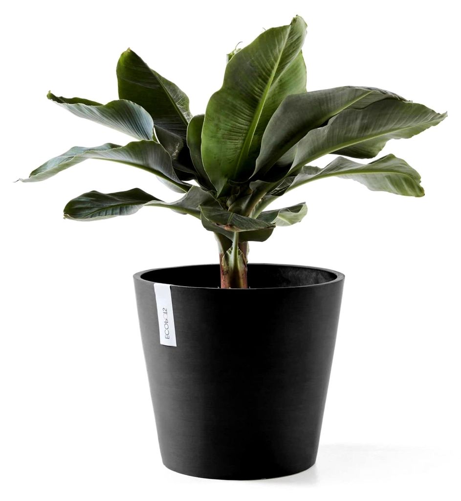 Blumentopf Amsterdam mit Bewässerung Dunkel Grau - Durchmesser Ø 30 cm rund groß - Pflanzentopf aus Recycling Kunststoff - Übertopf mit Wasserv...