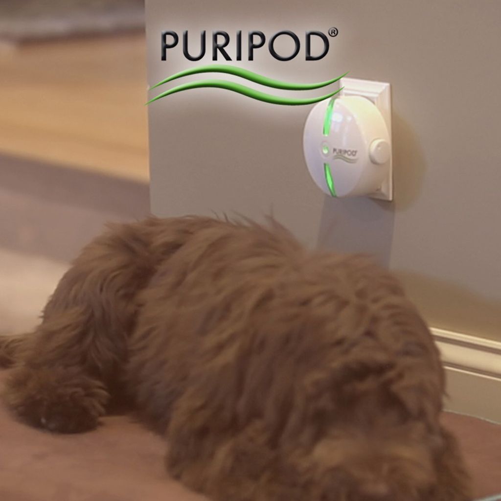 PURIPOD® - der lautlose Ionen - Luftreiniger in Produktbild 12