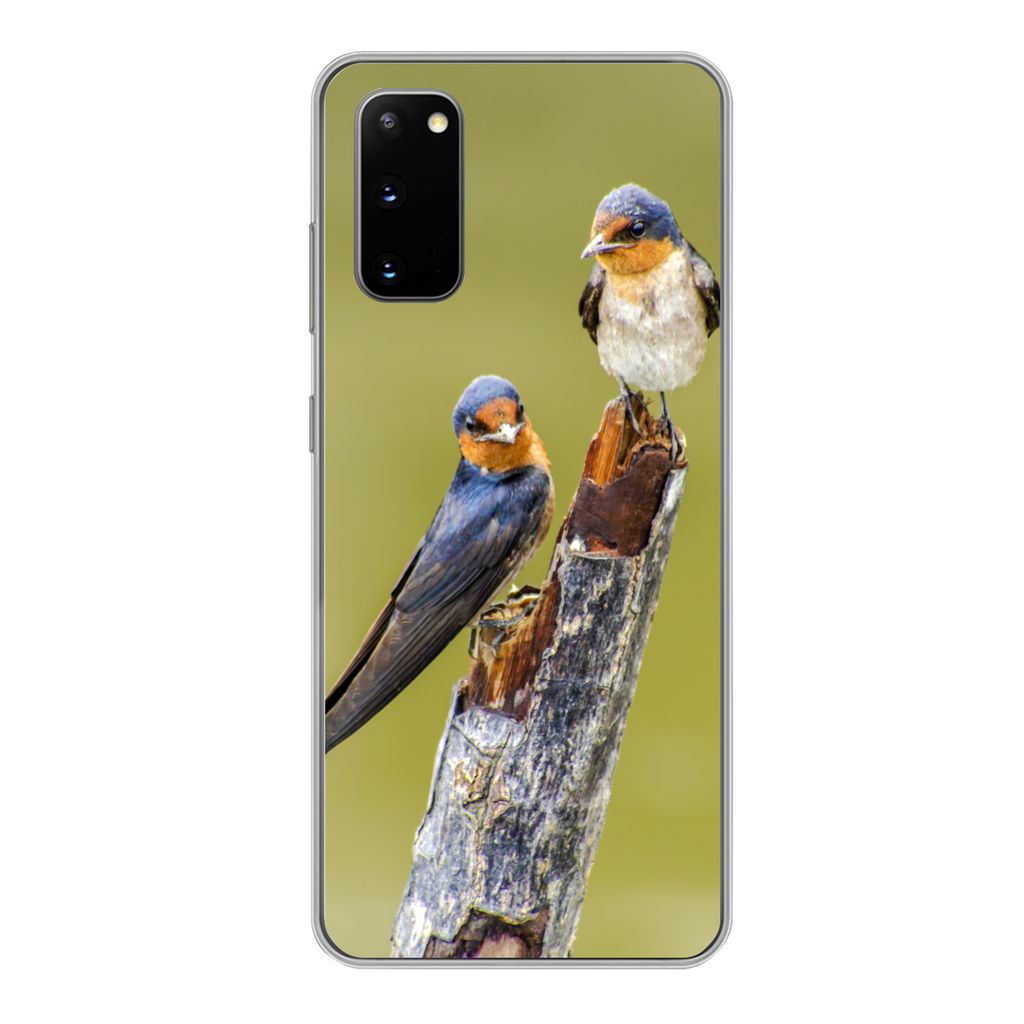 MuchoWow Handyhülle Schutzhülle Hülle für Samsung Galaxy S20 Vögel - Zweig - Porträt Silikon Softcase Handy Hülle - Bild