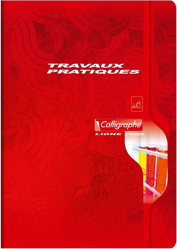 Calligraphe 5x Spiralheft 3D 12X12 100 BL TEDDY - Sortiert 7599C