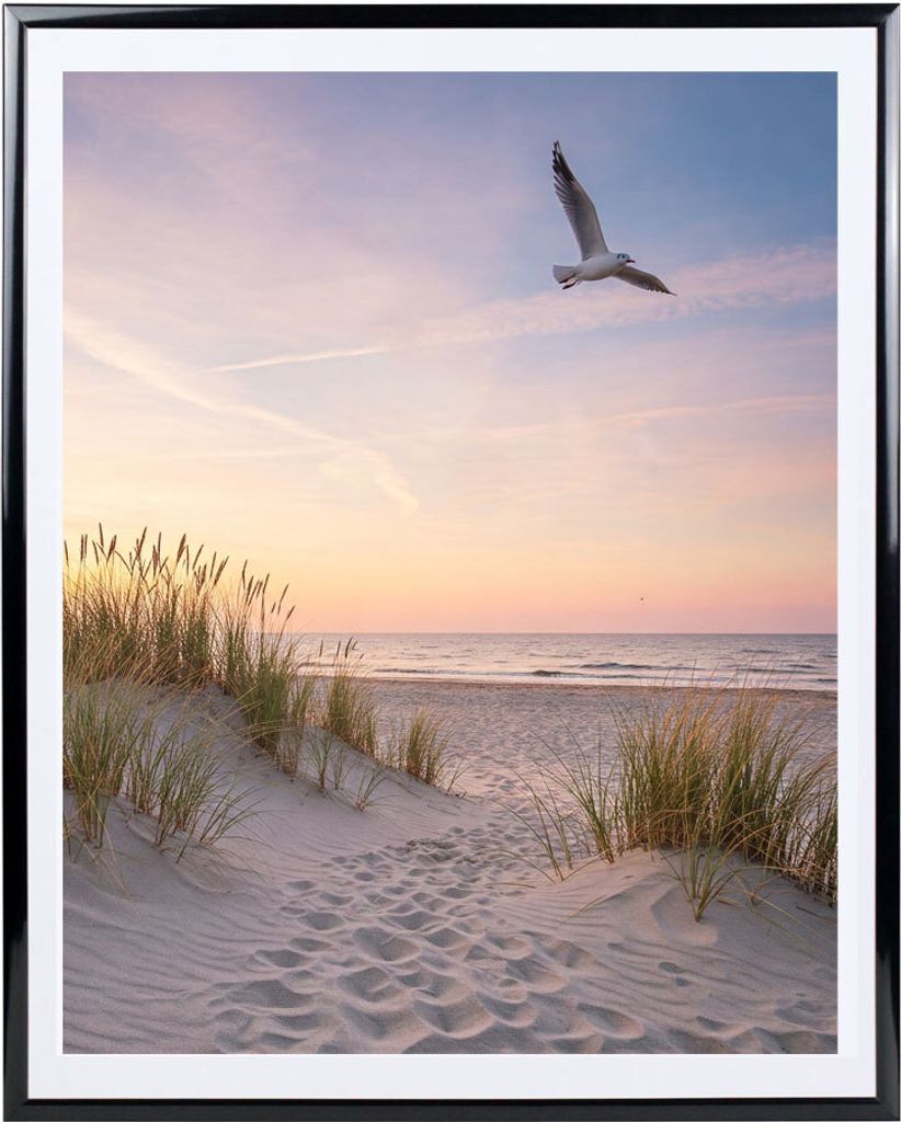 A beach scene at sunset with a path leading to the ocean and a seagull flying overhead.