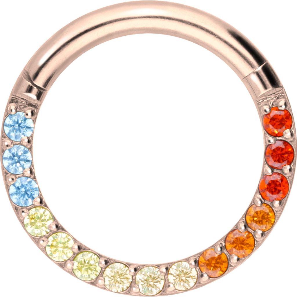 Ohrpiercing, Nasenpiercing, Septum Piercing Titan Segmentring Clicker EINGEFASSTE BUNTE KRISTALLE