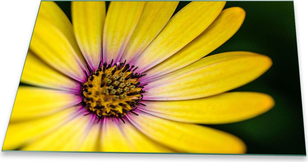Herdabdeckplatte Glaskeramik 1 Teilig 80x52 Blumen Gelb Abdeckung Glas Spritzschutz