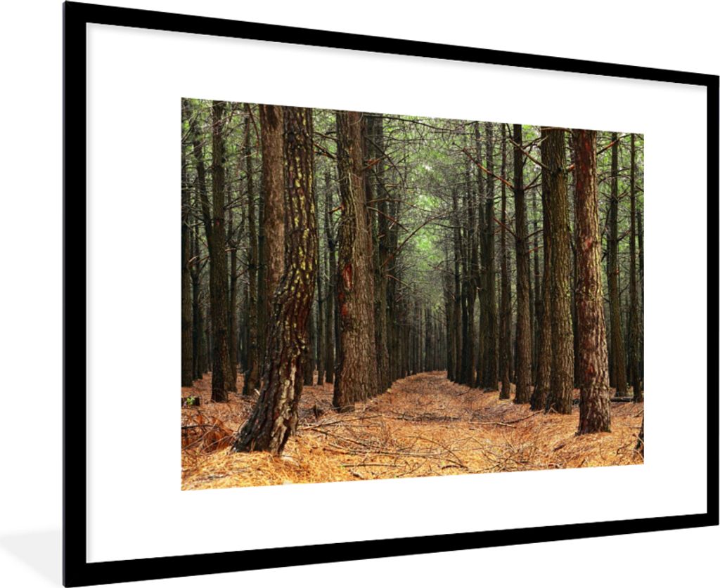 MuchoWow Gerahmtes Poster Herbst - Dekoration - Wald 90x60 cm - Poster mit Schwarzem Bilderrahmen Wandposter Rahmen Foto Bilder - Wanddekoration ...