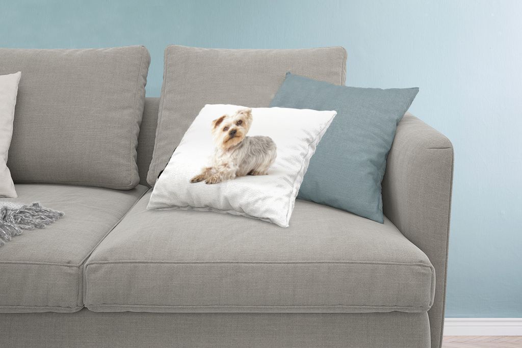 MuchoWow Zierkissen Sofakissen Wohnzimmer Dekokissen 60x40 cm Yorkshire Terrier schaut in die Kamera - Kopfkissen - Polster mit Foto