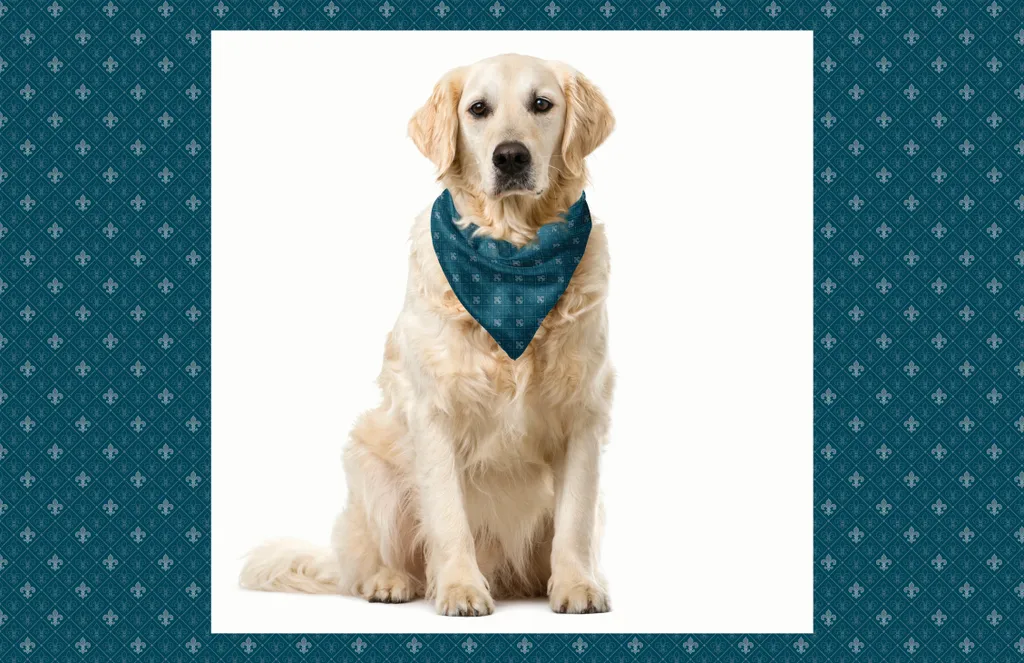Accessorio Pet ABAKUHAUS Fleur De Lis - Bandana 40x40 Blu Grigio Chic