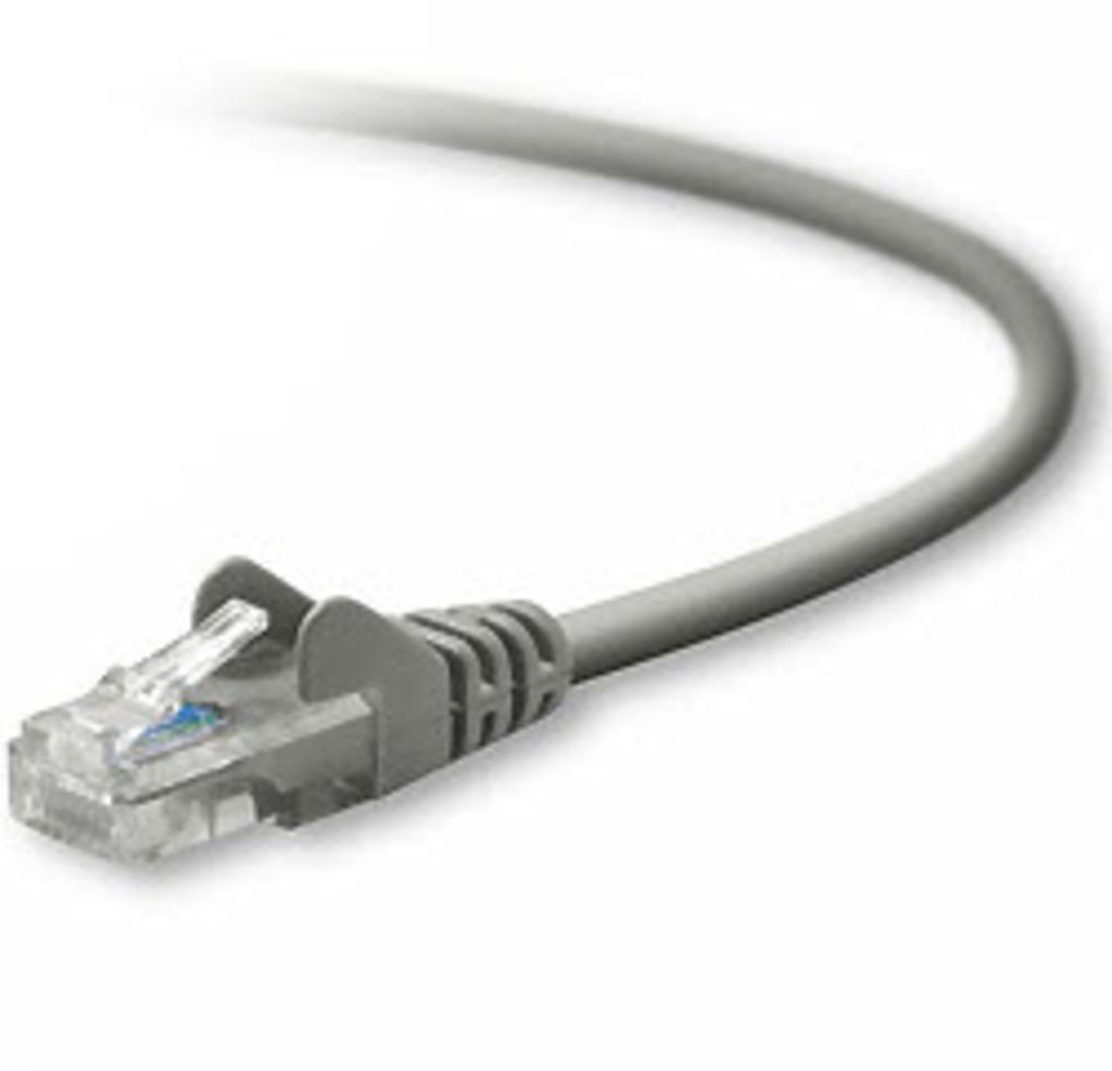 BELKIN RJ 45 Patchkabel