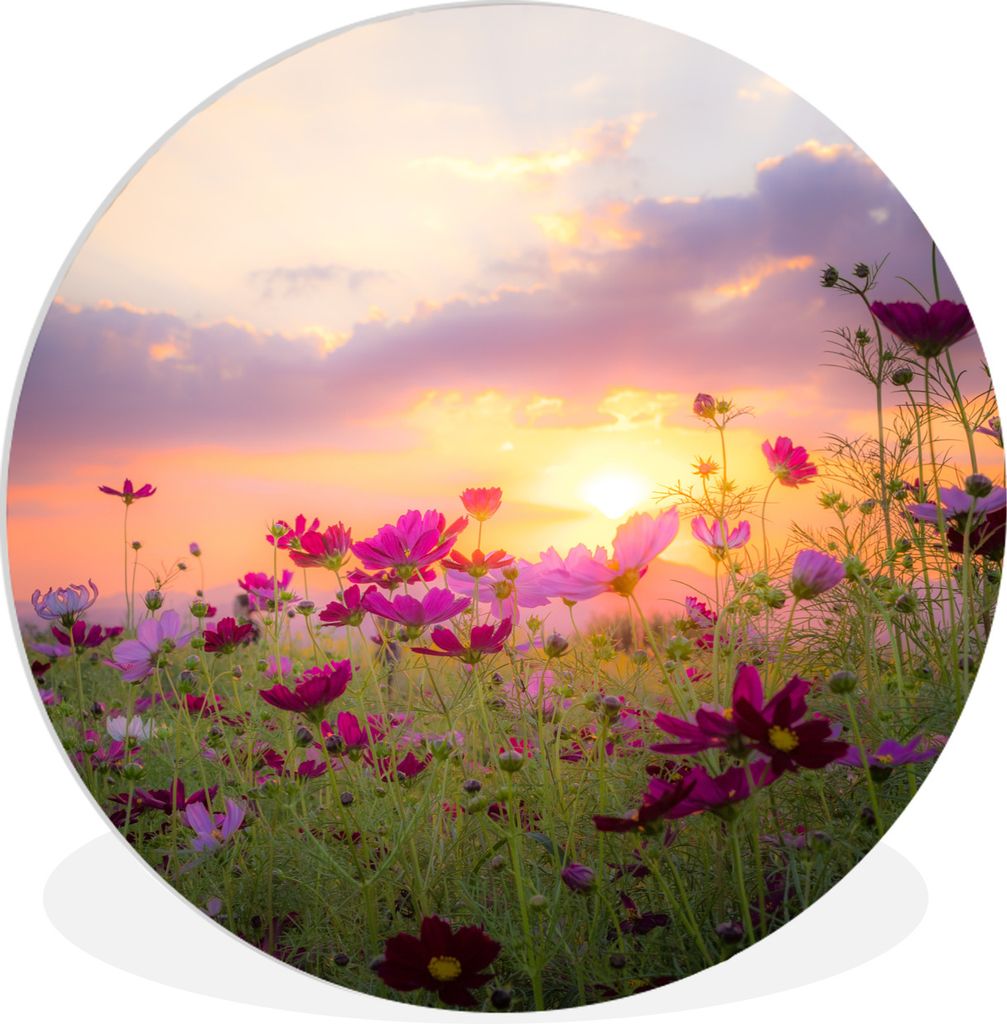 MuchoWow Rundes Wandbild - Runde Bilder Blumen - Rosa - Sonnenuntergang - Natur - Wiese - Horizont Ø 60 cm Kreis Wanddekoration Kunststoff - Wan...