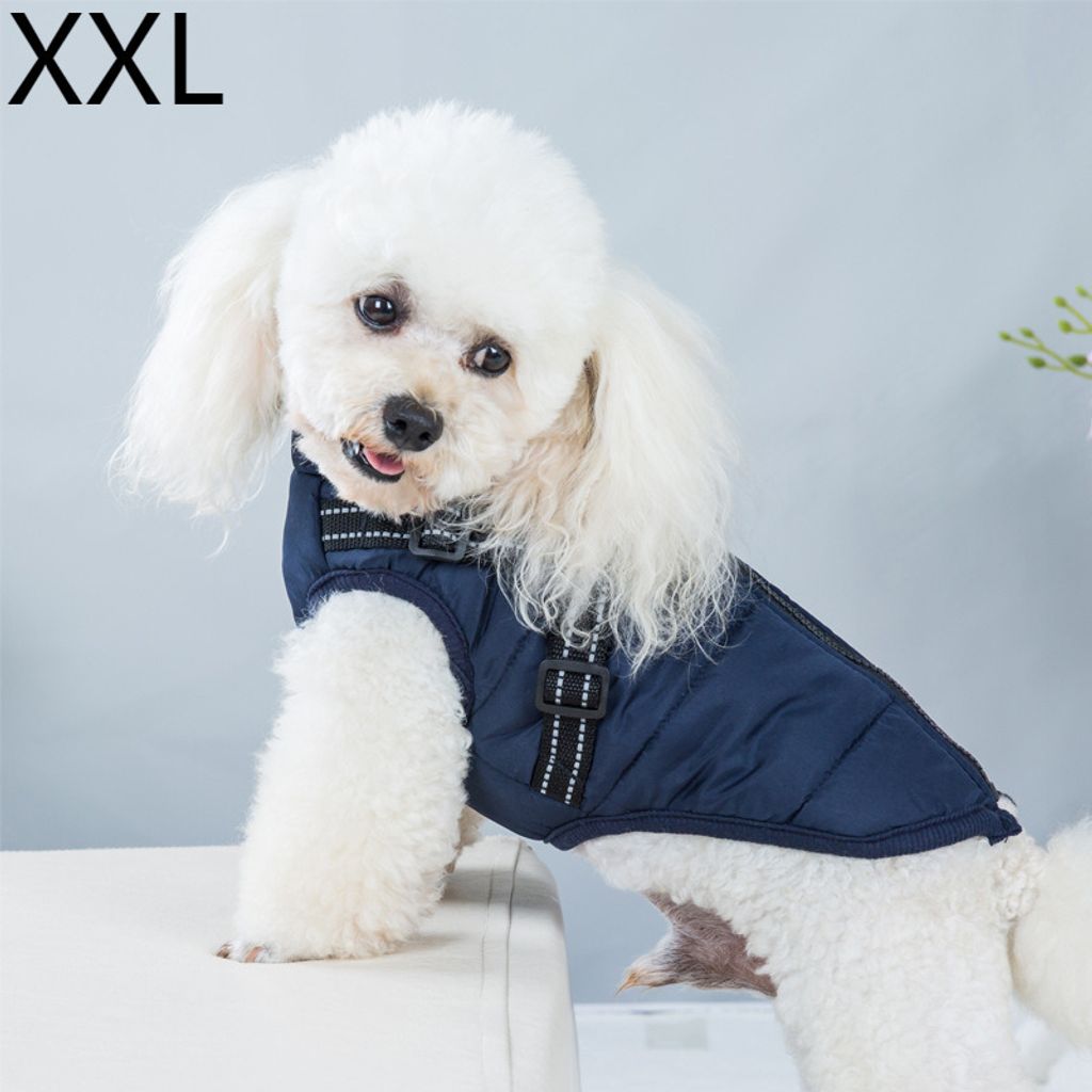 Winter-Haustier-Hundejacke mit Geschirr Winter-warme Hundekleidung für Labrador Wasserdichter Mantel für große Hunde Chihuahua Outfits, XXL, Nav...