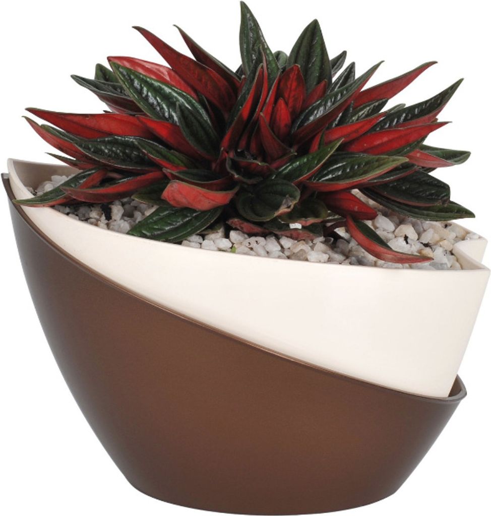 Plastia | Pflanzkübel Doppio - 21x14x14 cm - Krem/Bräunlich - Selbstbewässernd, Modernes Design