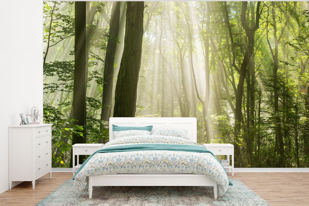 MuchoWow Fototapete für Wohnzimmer oder Schlafzimmer Wandtapete Vinyl Motivtapete Wald - Licht - Natur - Landschaft - 295x220 cm - Wand Tapete