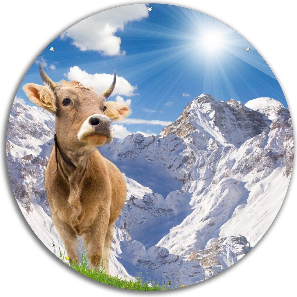 Wallario rundes Outdoor-Poster für Garten oder Balkon, Motiv Kuh im Sonnenschein in den Alpen, 60 cm Durchmesser